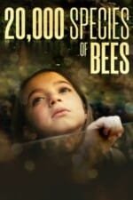 Movie 20,000 Species of Bees