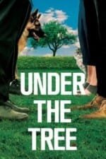 Movie Under the Tree