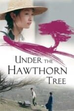 Movie Under the Hawthorn Tree