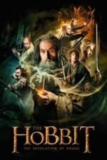 Movie The Hobbit: The Desolation of Smaug