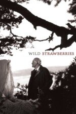 Movie Wild Strawberries