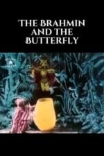 Movie The Brahmin and the Butterfly